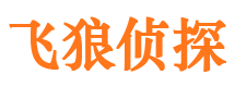 江洲外遇调查取证